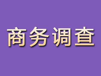 尚志商务调查